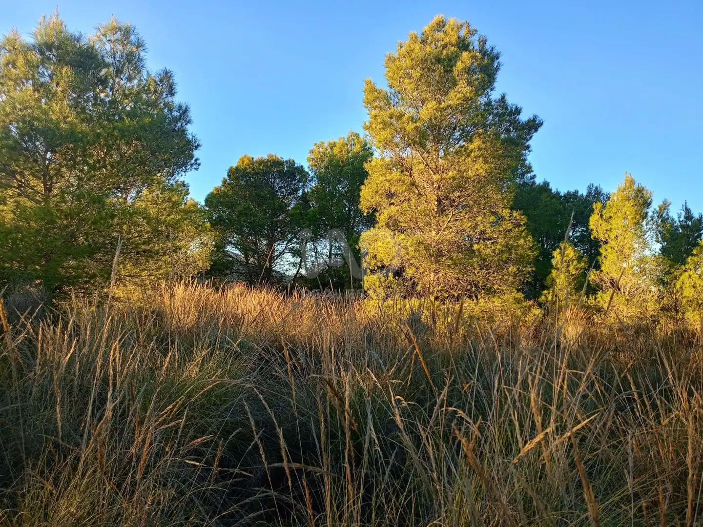 Terreno en venta en Lorca