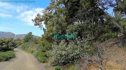 Foto 5 de Residencial en venta en  Tosal Gros de Miramar, Figuerola del Camp, Tarragona