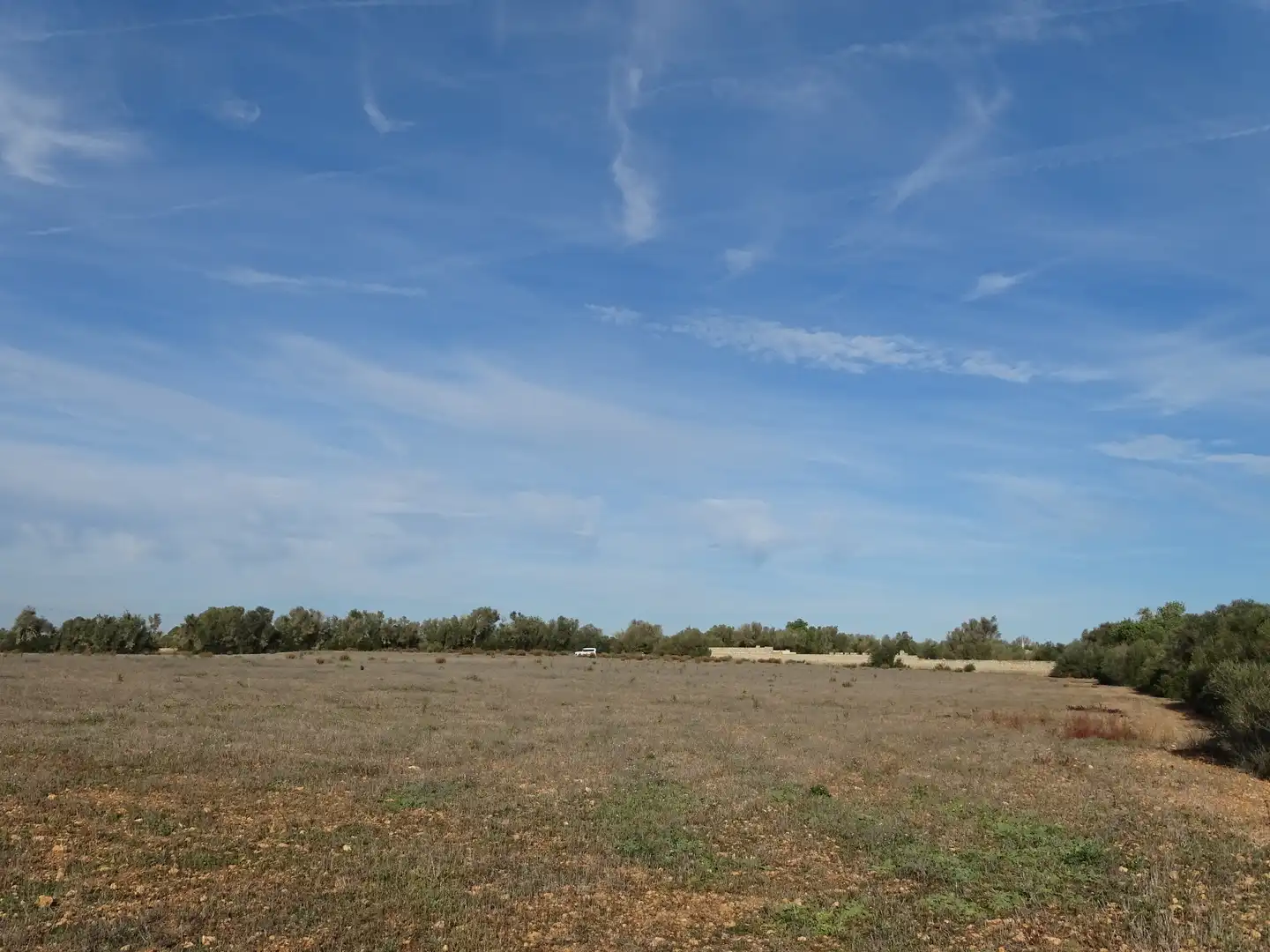 Terreno rustico in vendita a Llucmajor pueblo, imagen 6