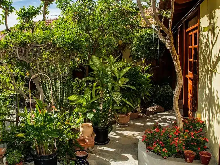 Terrassa de Finca rústica en venda en San Sebastián de la Gomera, Santa Cruz de Tenerife