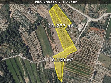 Terreny rústic en venda a Parcent
