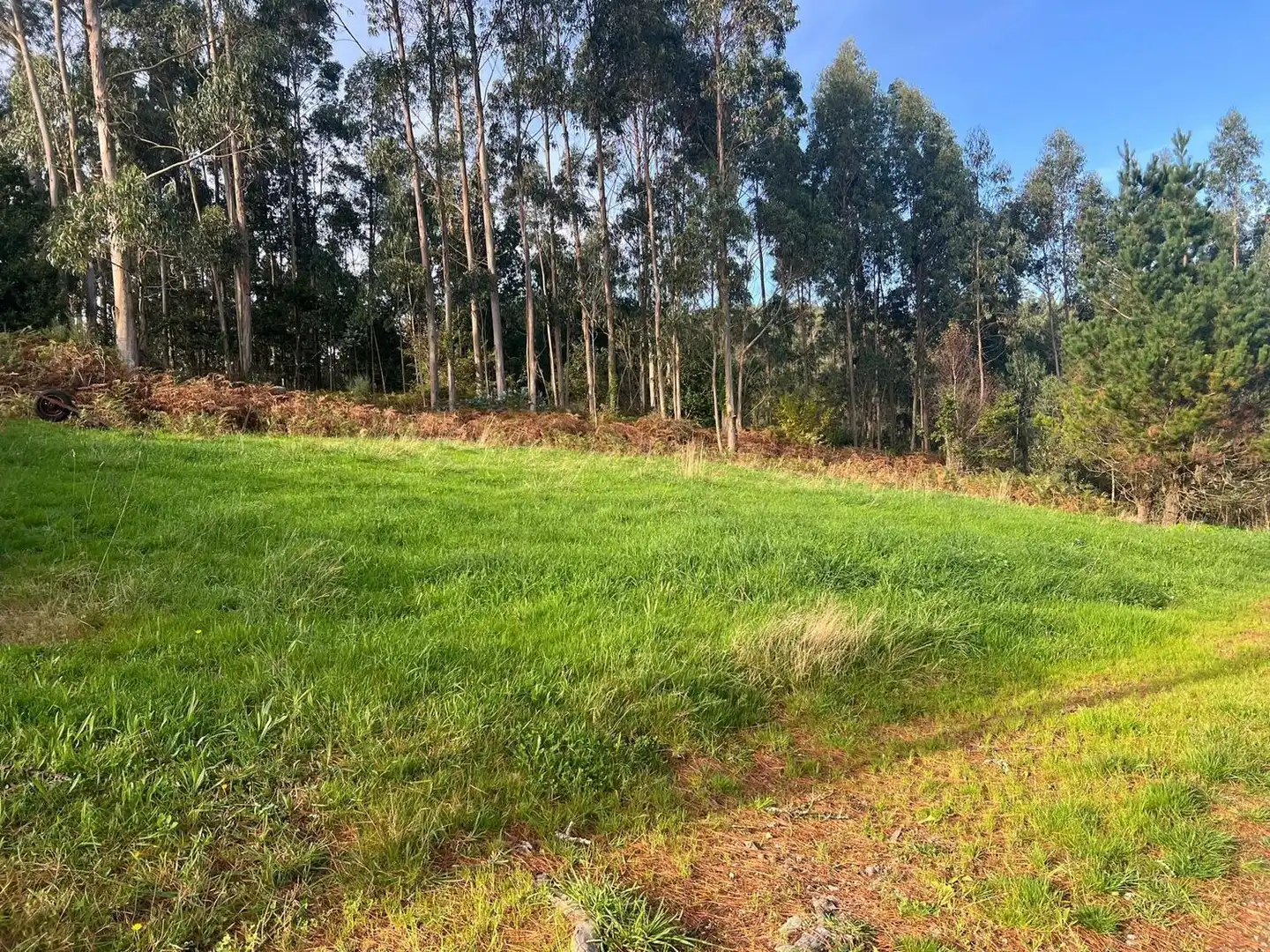 Casa rústica en venta en Lugar Silvalonga, imagen 4