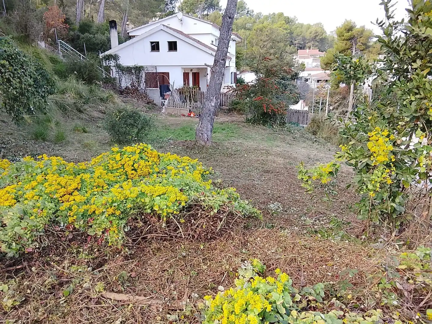 Terrain rustique à vendre à Puig Moltó - Can Macià, imagen 12