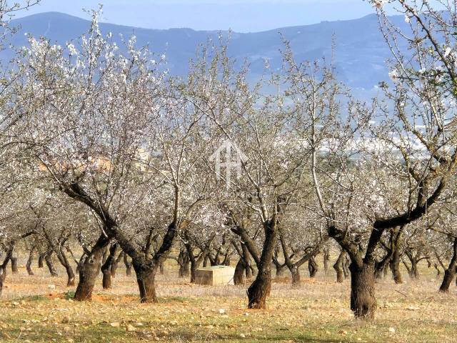 Terreno residencial en Venta en Salar