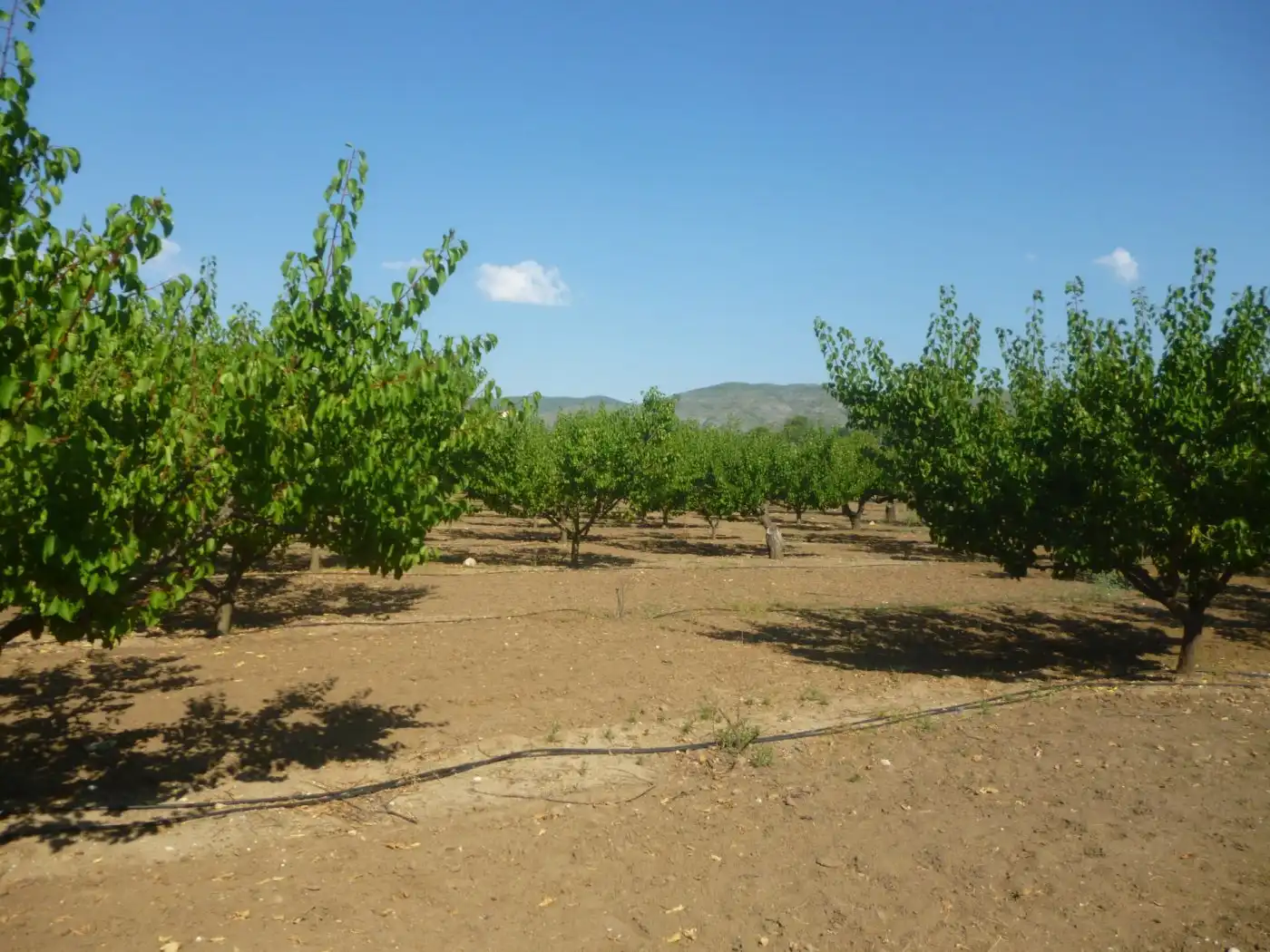Finca rústica en venta en Ontinyent con Piscina y Balcón