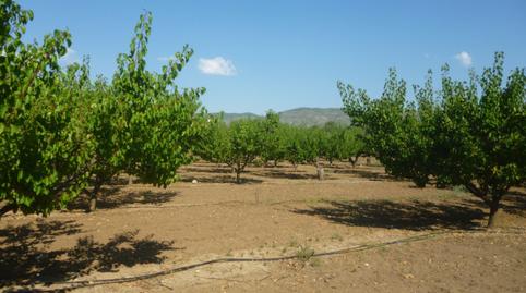 Photo 5 of Country house for sale in Santa Ana, Valencia