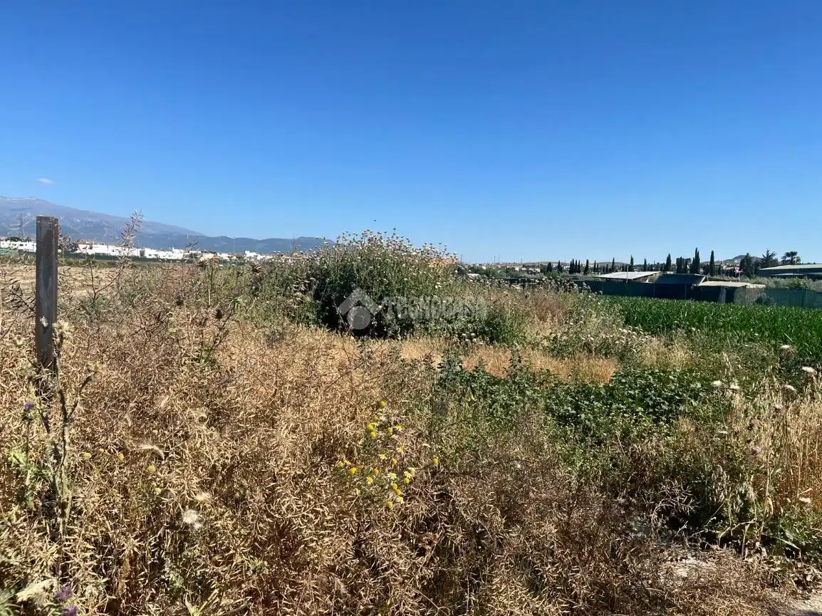 Terreni e lotti in vendita a Cúllar Vega, imagen 5
