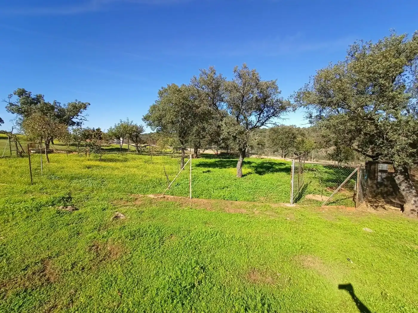 Casa o xalet en venda en Alburquerque amb Jardí privat, Piscina i Moblat