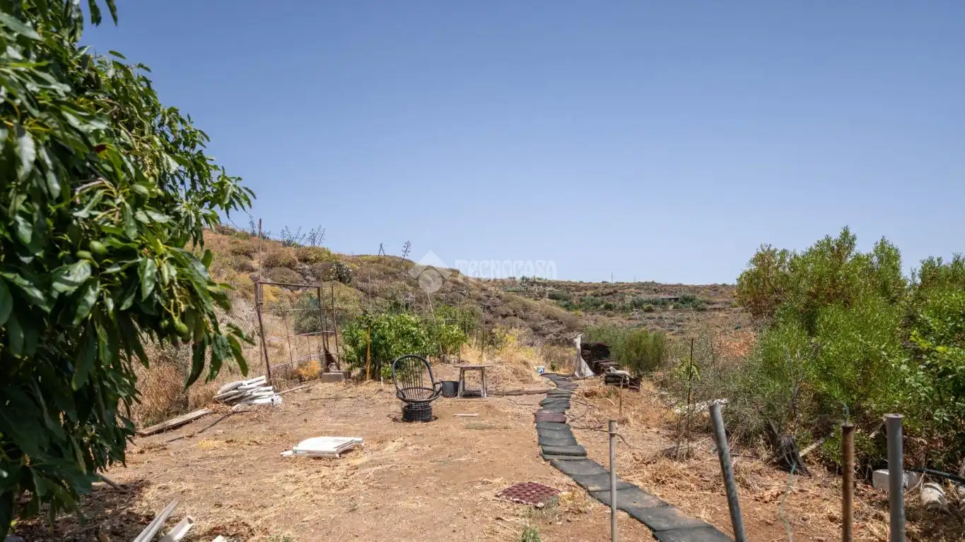 Terreny rústic en venda a Valsequillo de Gran Canaria, imagen 2