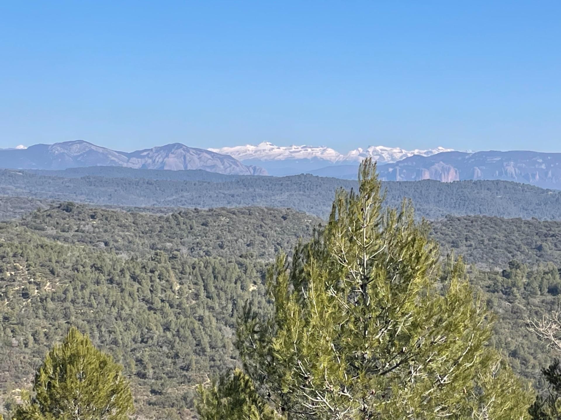 Terreno en venta en Luna