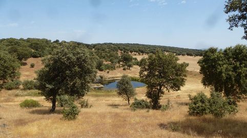 Photo 2 of Land for sale in Trujillo, Cáceres