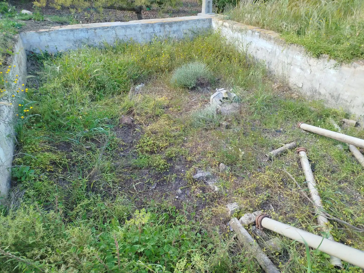 Finca rústica en venda en Benamocarra amb Jardí privat