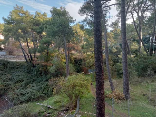 Terreno residencial en Venta en Calle Cuenca, 303 en Rozas de Puerto Real