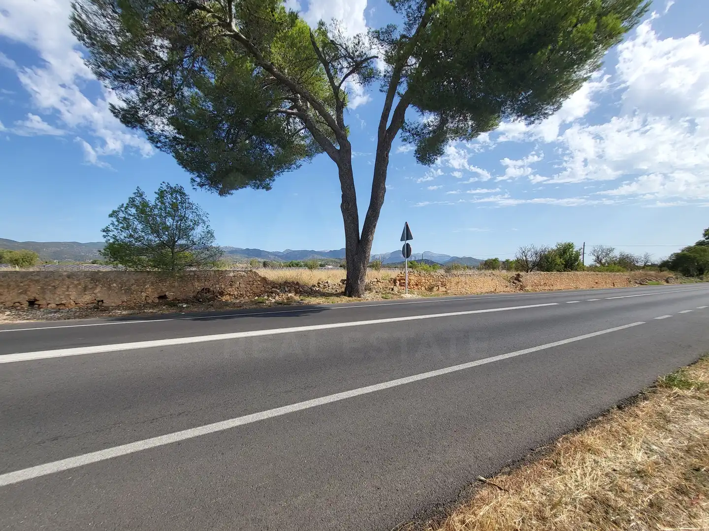 Terrain rustique à vendre à Polígono 2 Parcela 1, imagen 17