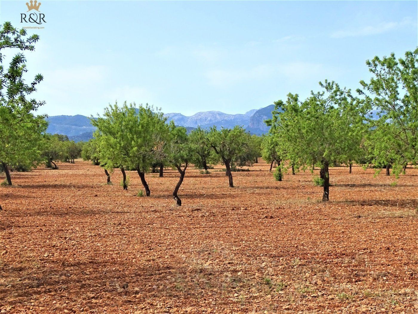 Land for sale in Binissalem