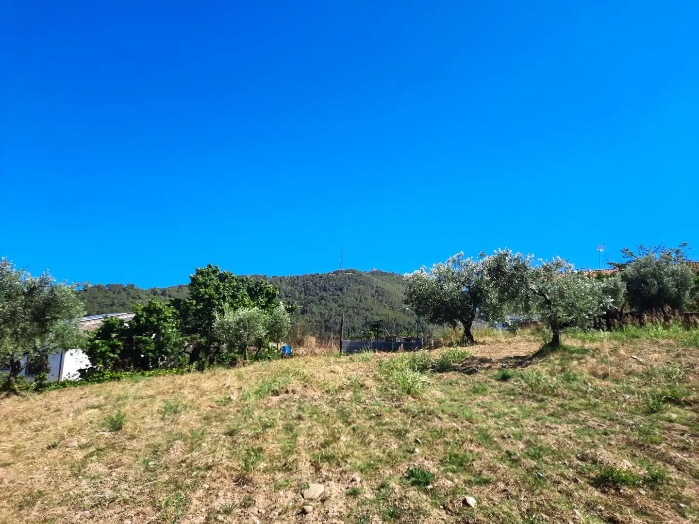 Terreno residencial en venta en Carrer Carrer del Cirerer 13, imagen 5