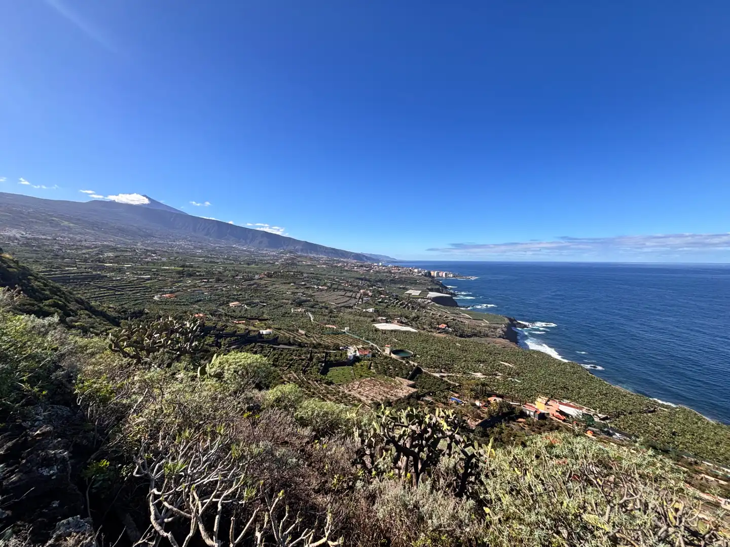 Terreno rustico in vendita a Camino de San Diego, imagen 36