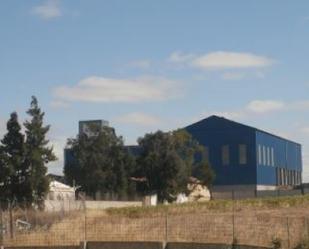 Exterior view of Industrial buildings for sale in Gibraleón