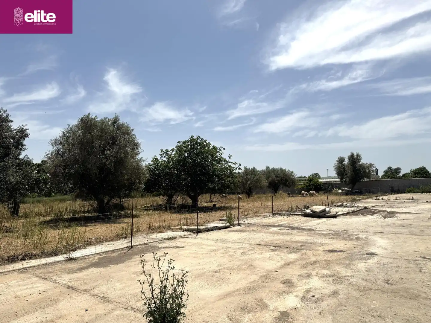 Residential for sale in Pozoalbero