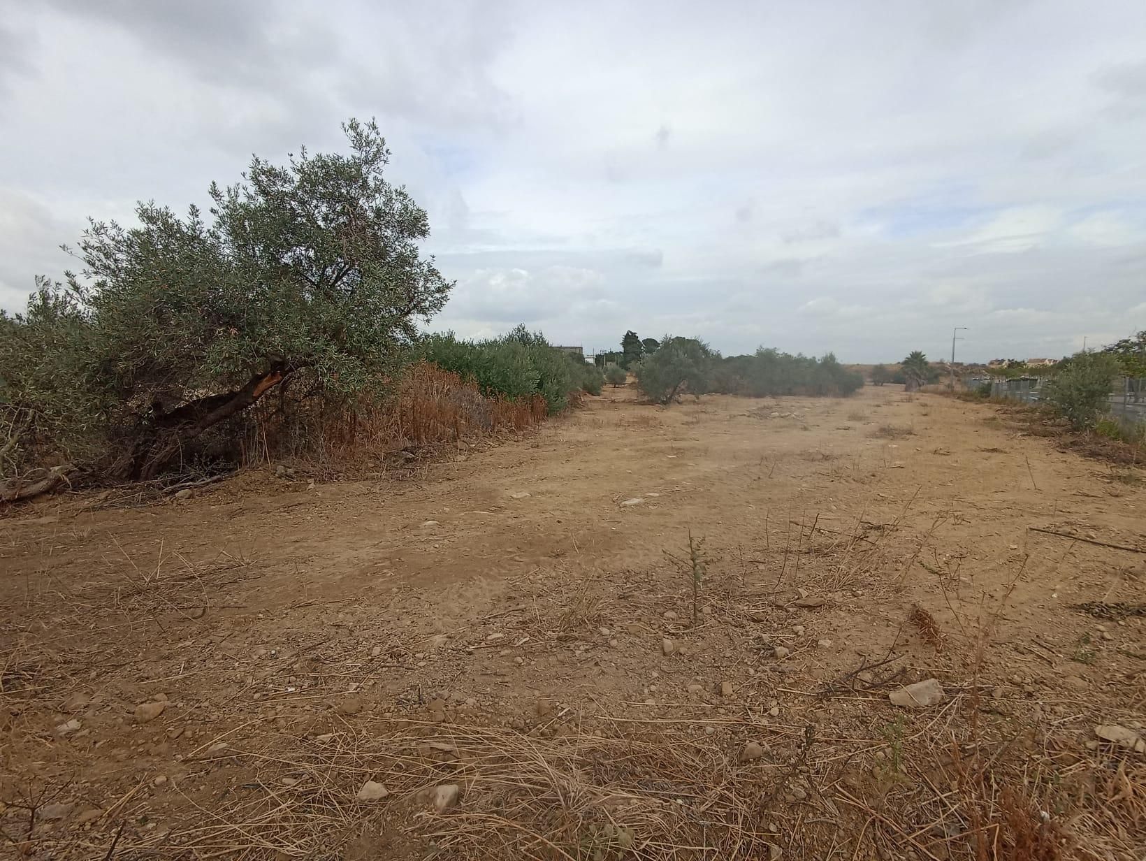 Grundstücke zum verkauf in Tomares