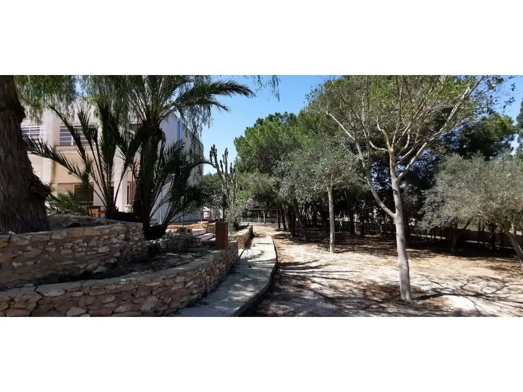 Jardí de Casa o xalet en venda en Elche / Elx amb Jardí privat, Terrassa i Piscina