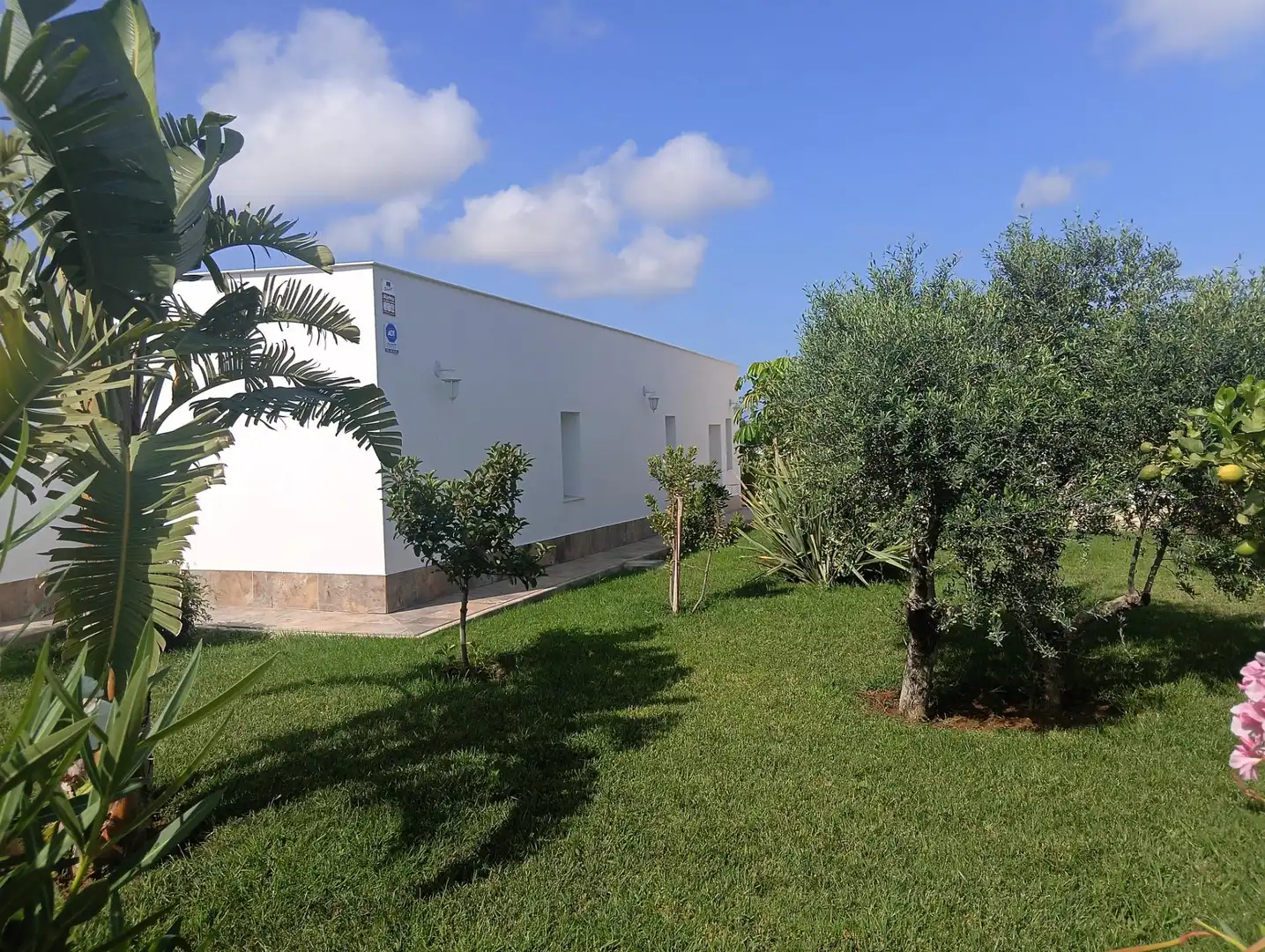 Vista exterior de Casa o xalet en venda en Conil de la Frontera