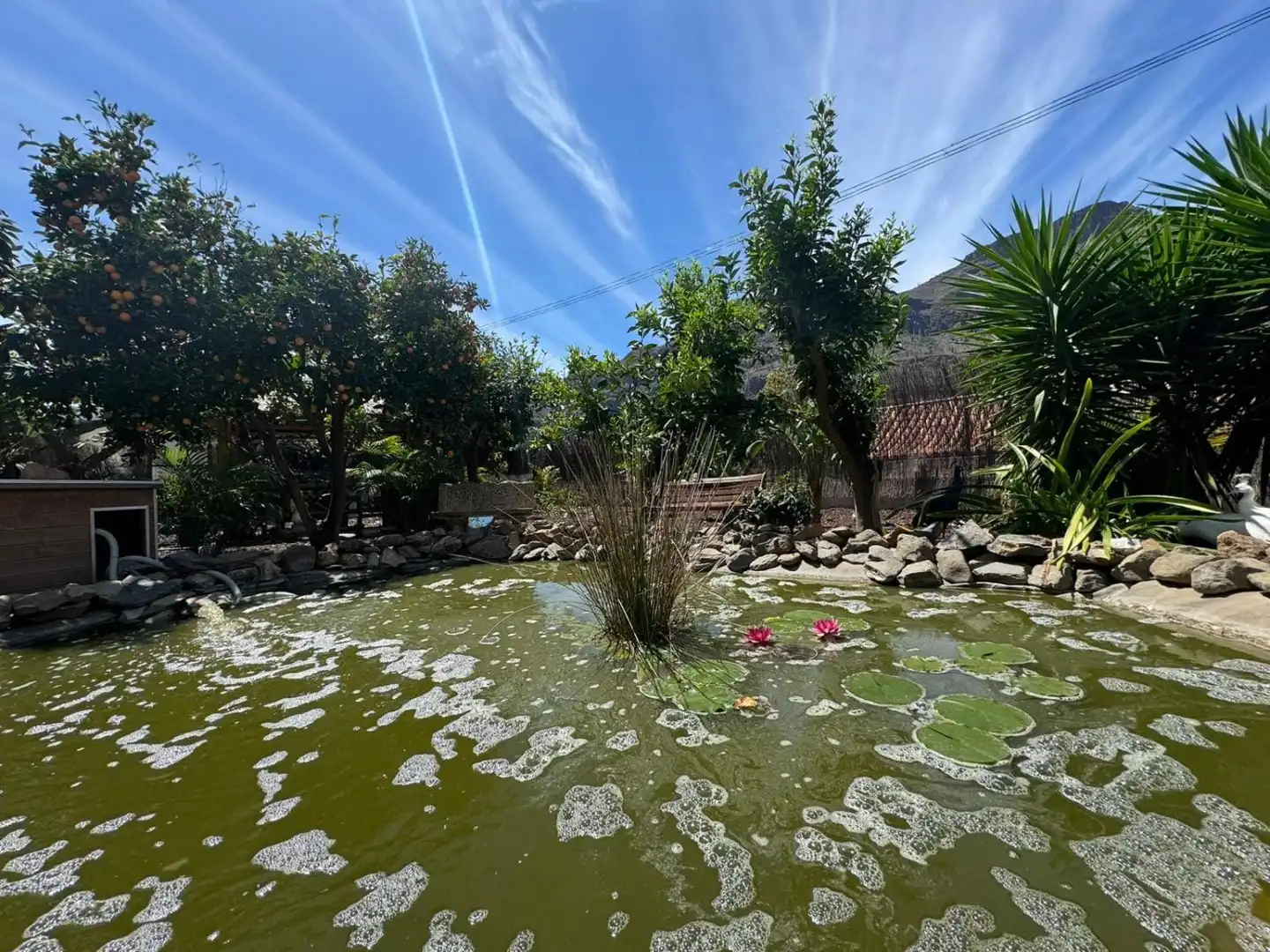House with garden for sale in San Bartolomé Interior, imagen 49