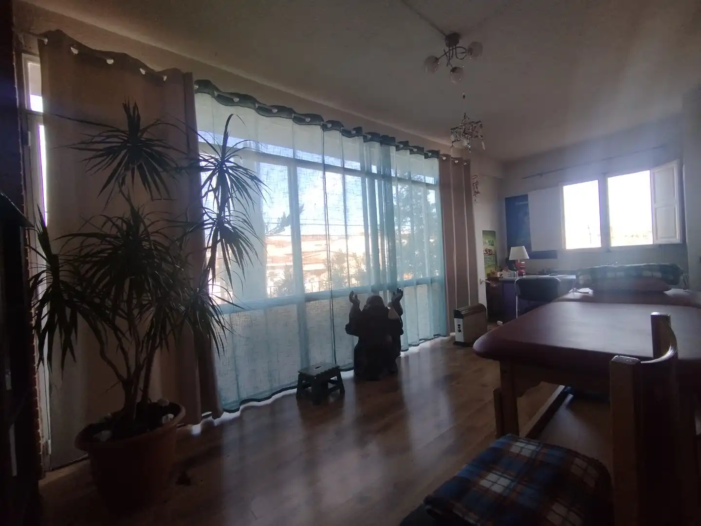 Casa con terraza en venta en Carrer Costa Brava 238, imagen 3