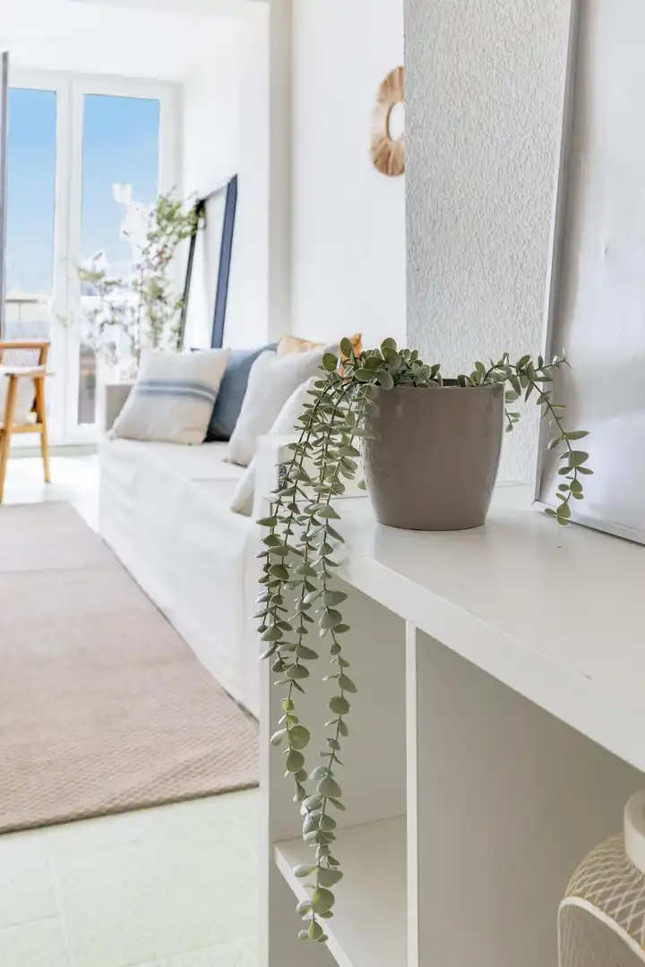 Terraza de Apartamento en venta en Valencia con Jardín privado y Piscina comunitaria