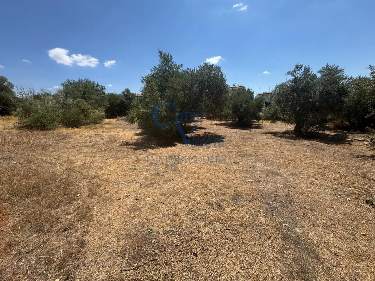 Terreni e lotti in vendita a Arco Norte - Avda España, imagen 13