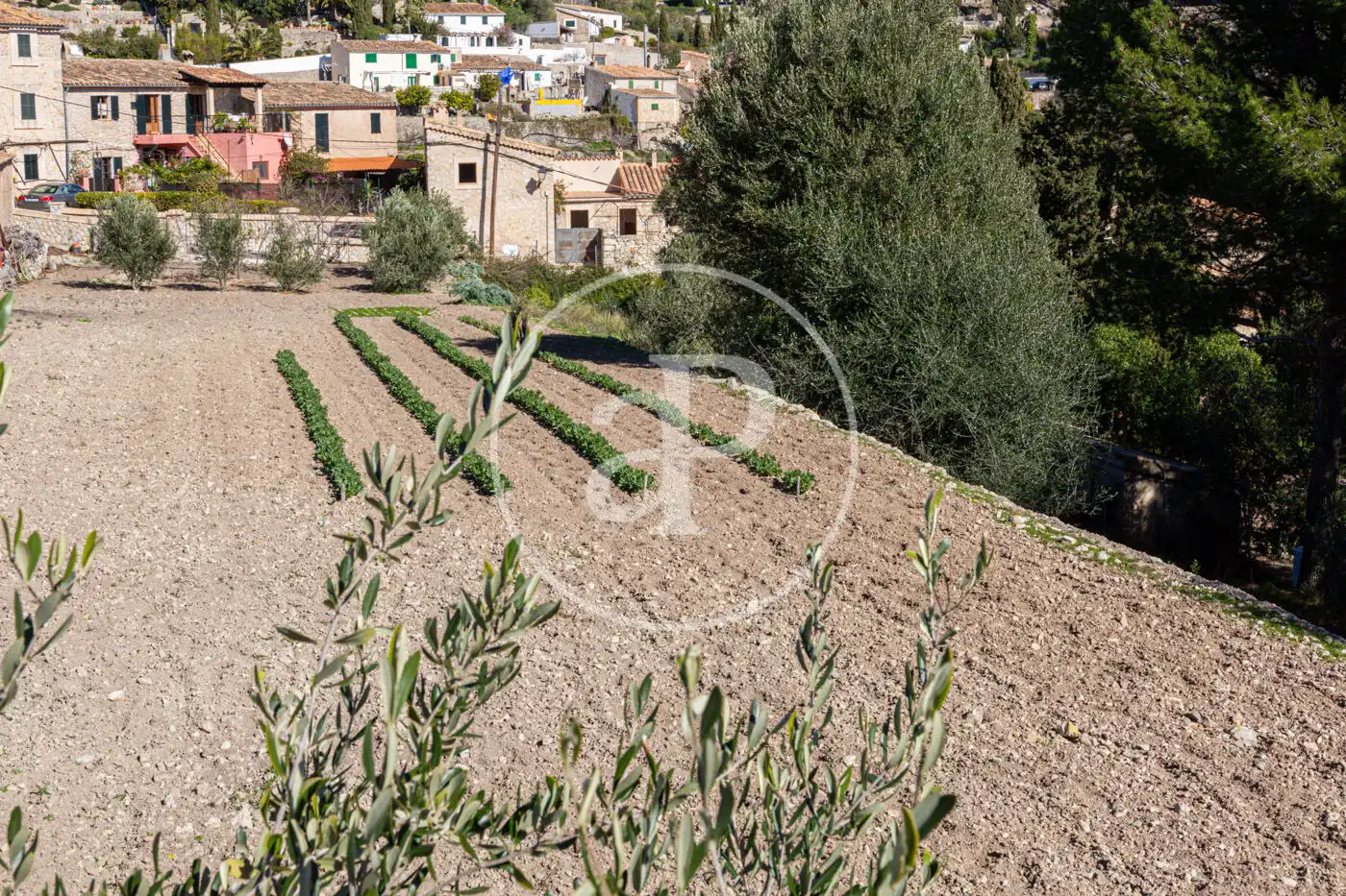 Residential for sale in Puigpunyent