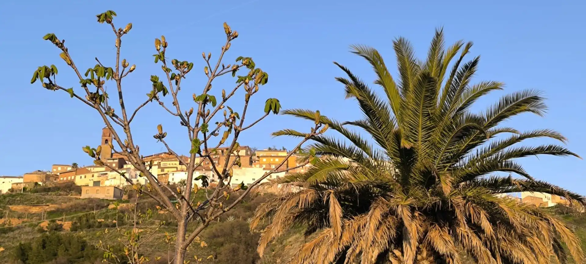 Vista exterior de Casa o chalet en venta en Ausejo con Calefacción, Terraza y Trastero