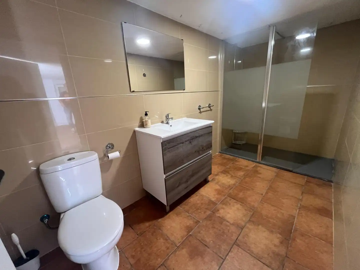 Baño de Casa o chalet en venta en Padul