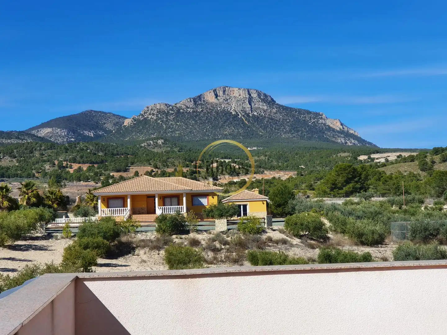 Vista exterior de Finca rústica en venda en Lorca amb Jardí privat, Terrassa i Moblat
