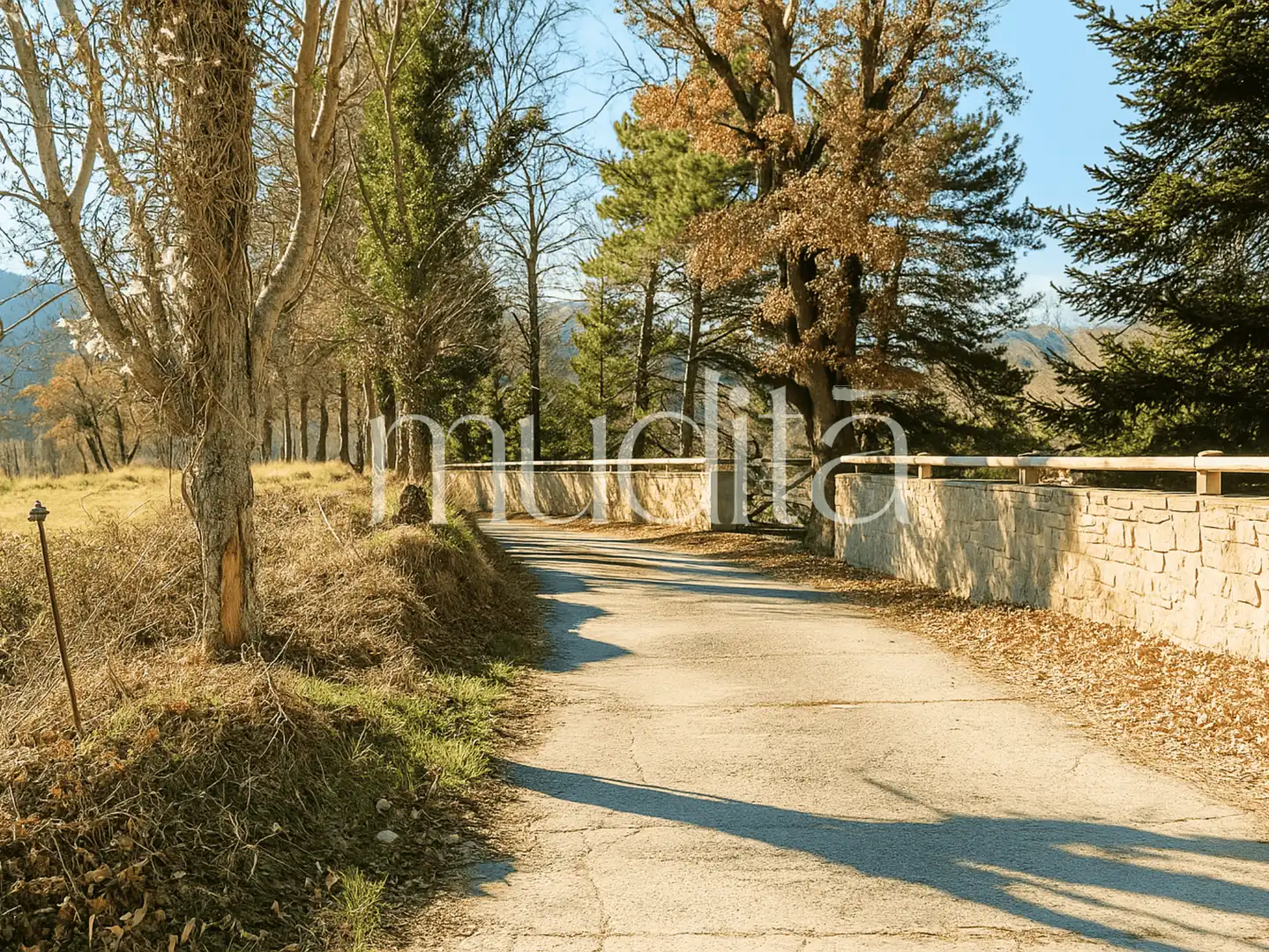 Vista exterior de Casa o xalet en venda en Les Llosses amb Calefacció, Terrassa i Traster