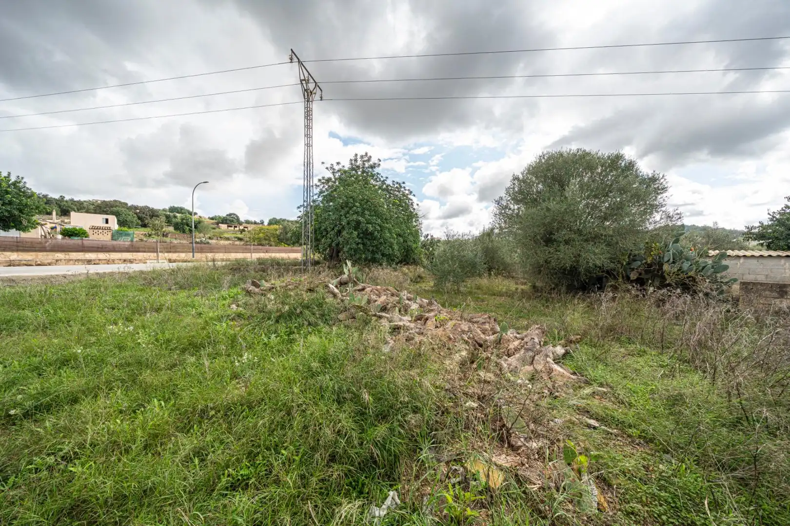 Rural land for sale in Felanitx Poble, imagen 5
