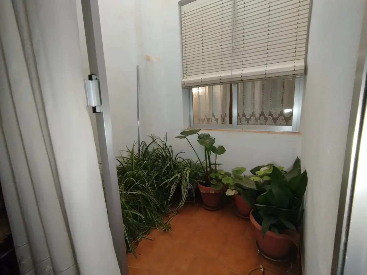 Habitatge amb jardí en venda a Calle Pelayo, imagen 10