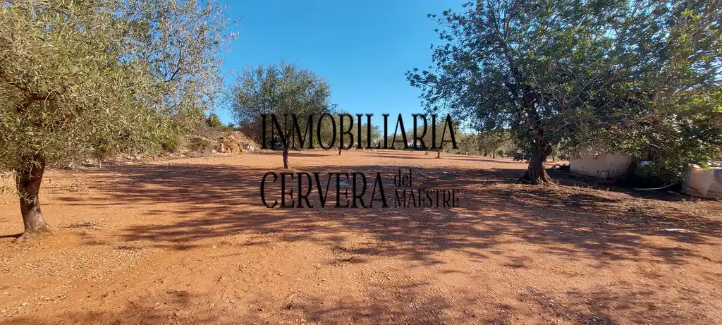 Vista exterior de Finca rústica en venda en Cervera del Maestre amb Terrassa
