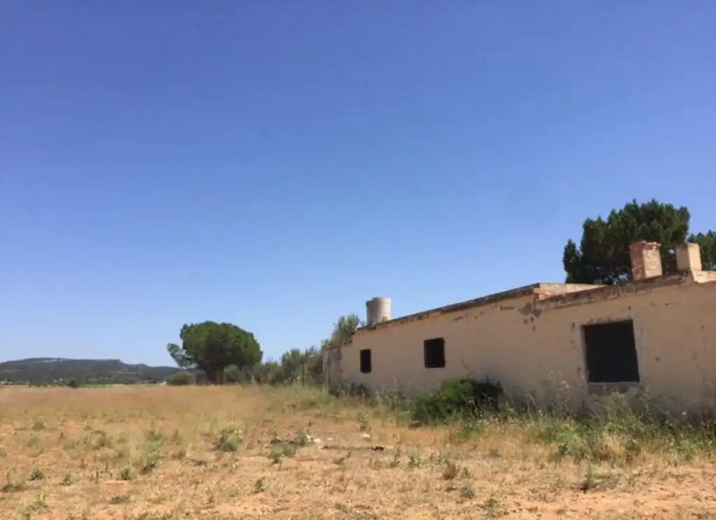 Terrain rustique à vendre à POLIGONO 8-RS, imagen 5