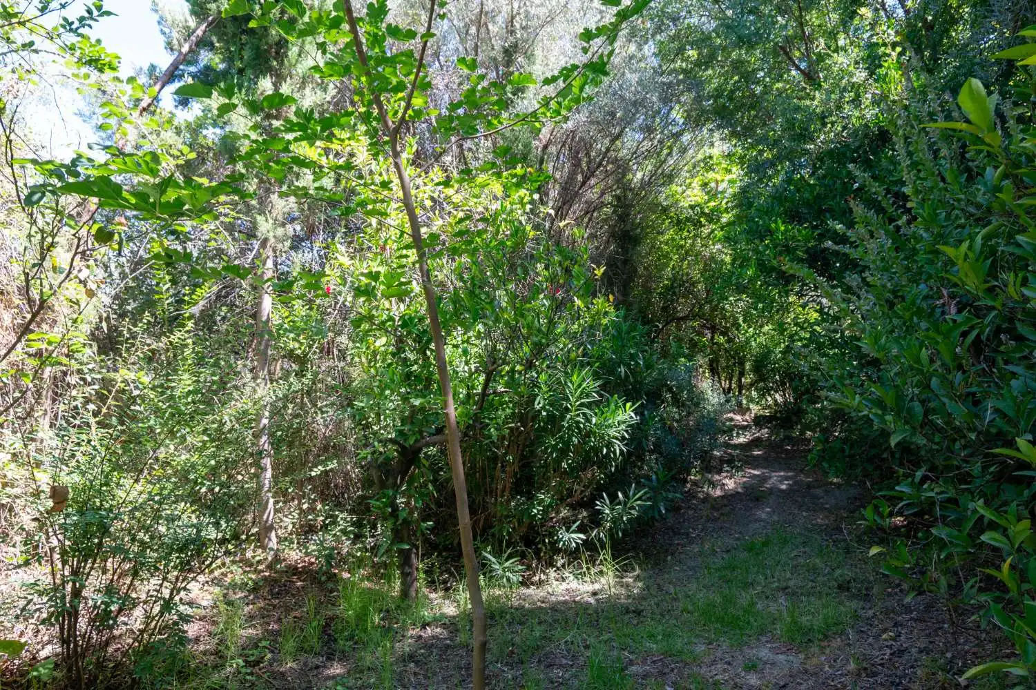 Finca rústica en venda en Lecrín amb Piscina
