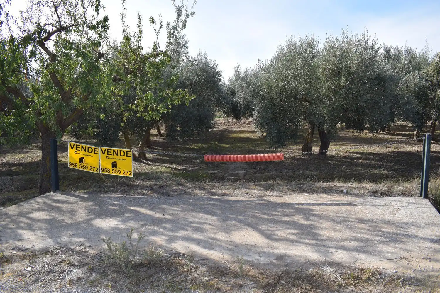 Terreno rustico in vendita a LOS MOLINOS, imagen 8