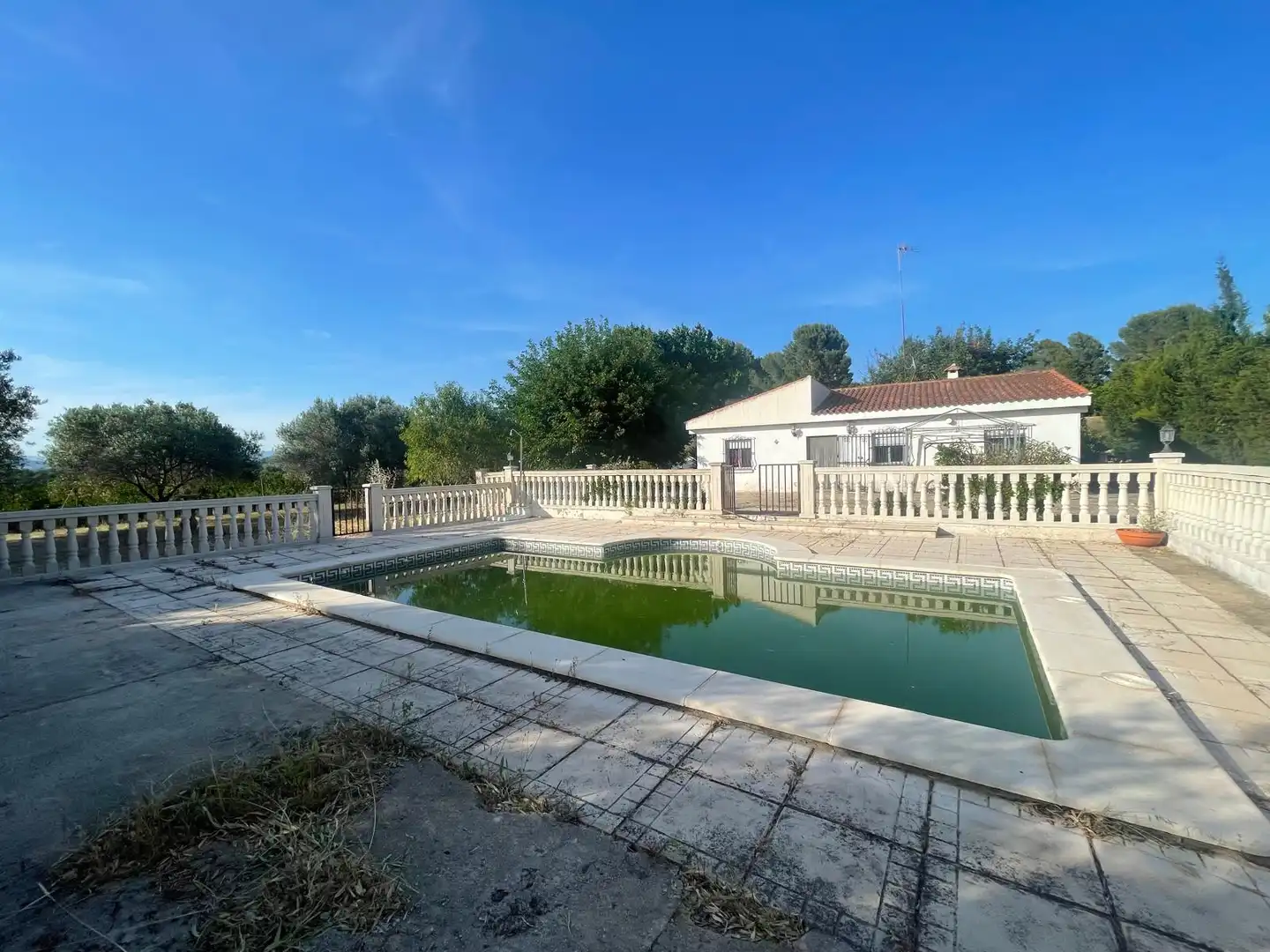 Piscina de Casa o chalet en venta en Pedralba con Jardín privado, Terraza y Piscina