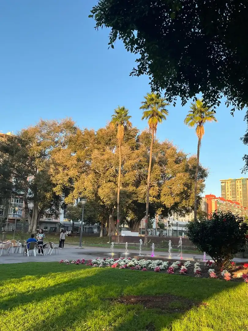 Vista exterior de Pis de lloguer en Las Palmas de Gran Canaria amb Moblat