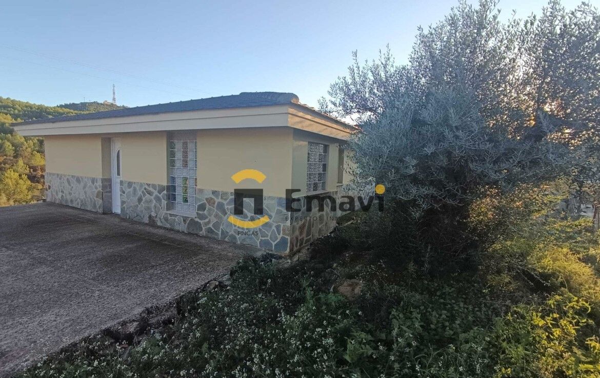 Exterior view of Single-family semi-detached for sale in Castellón de la Plana / Castelló de la Plana  with Private garden and Terrace