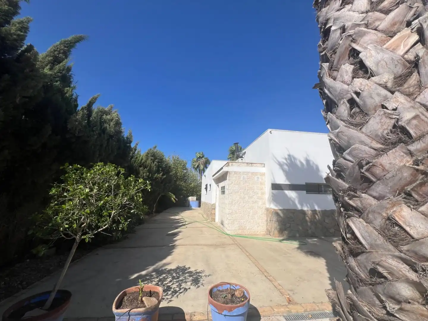 Vista exterior de Casa o chalet en venta en Pedanías Sur 
