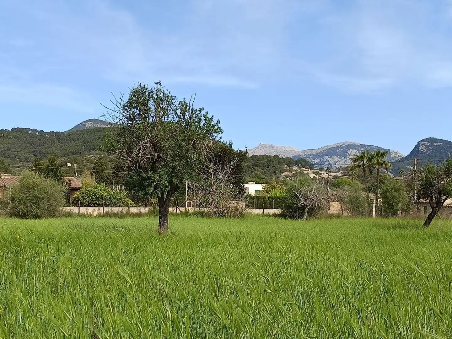 Country homes for sale in Binissalem  with Private garden