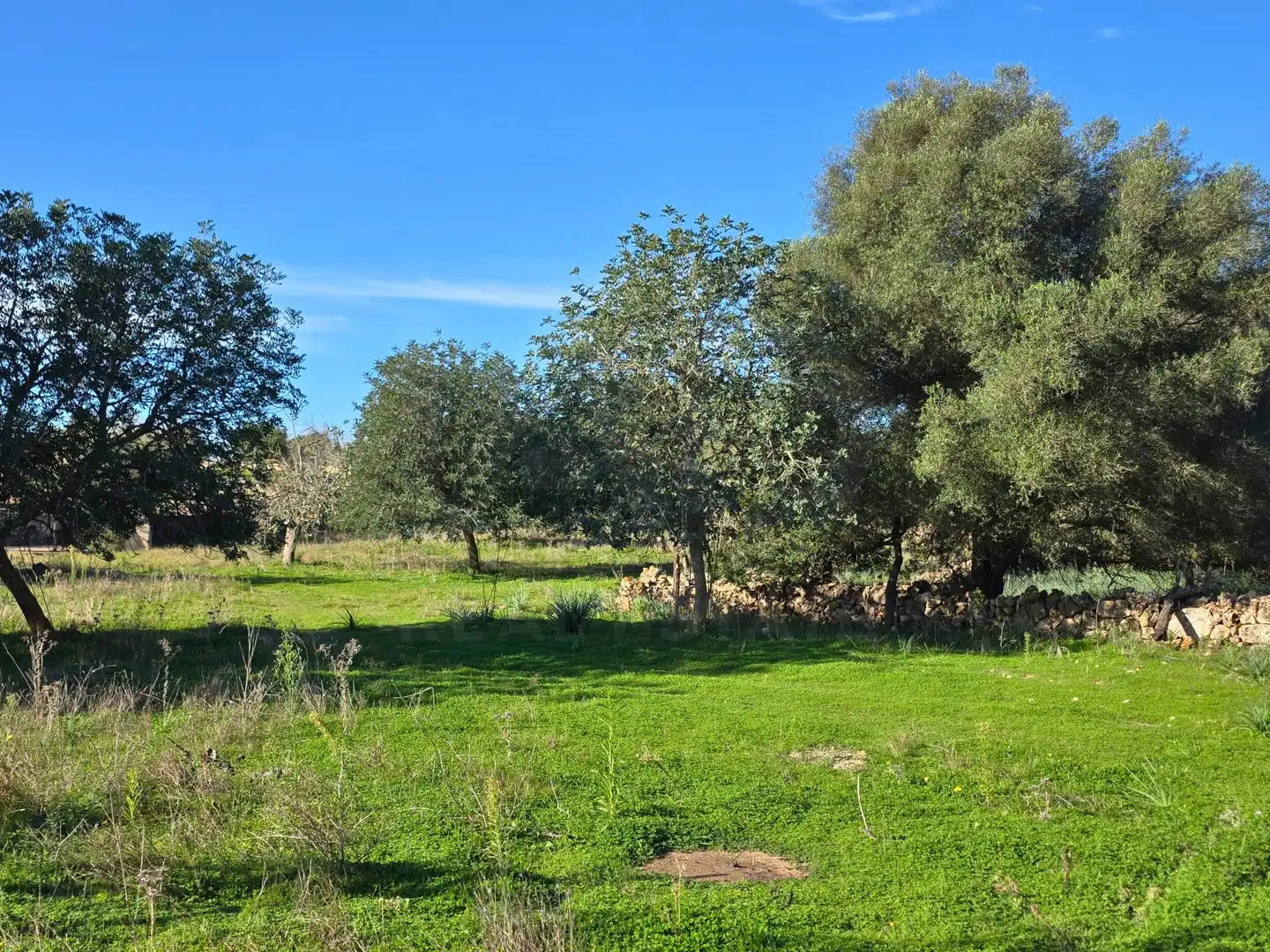 Terreni e lotti in vendita a Santa Margalida Poble, imagen 14