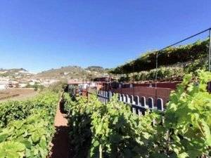 Terreno residencial en Venta en Camino las Mercedes, 270 en Las Mercedes