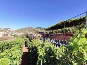 Foto 1 de Residencial en venda a Camino las Mercedes, 270, Las Mercedes, Santa Cruz de Tenerife