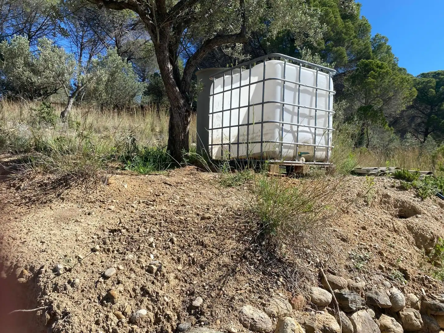 Exterior view of Land for sale in Olesa de Montserrat